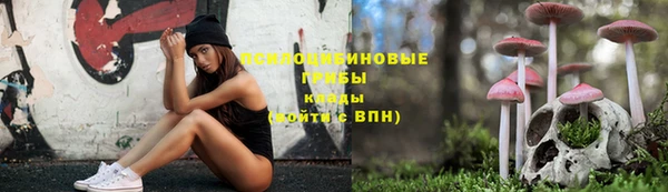 PSILOCYBIN Киреевск